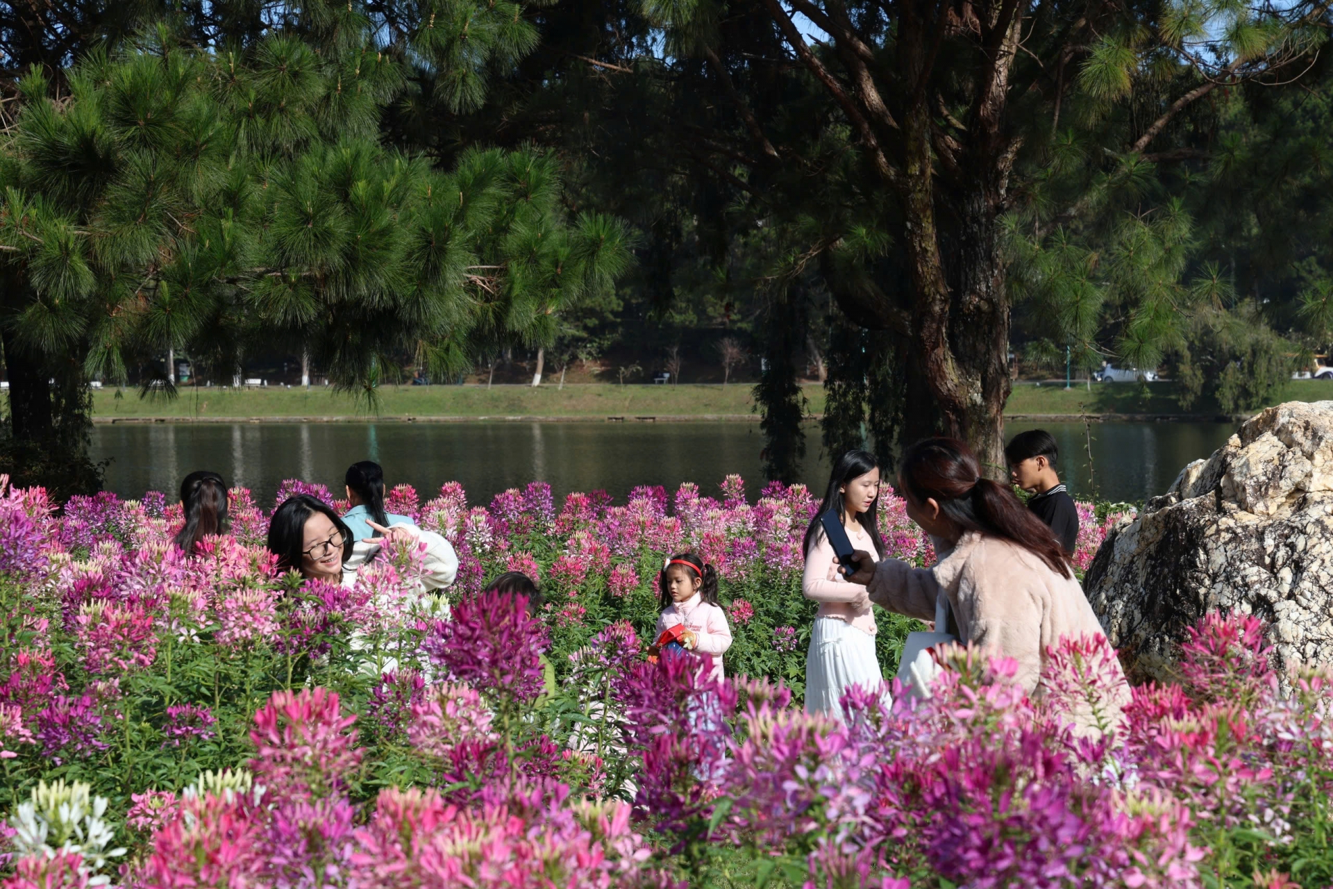 Những điều thú vị của du lịch Đà Lạt trong tháng 6