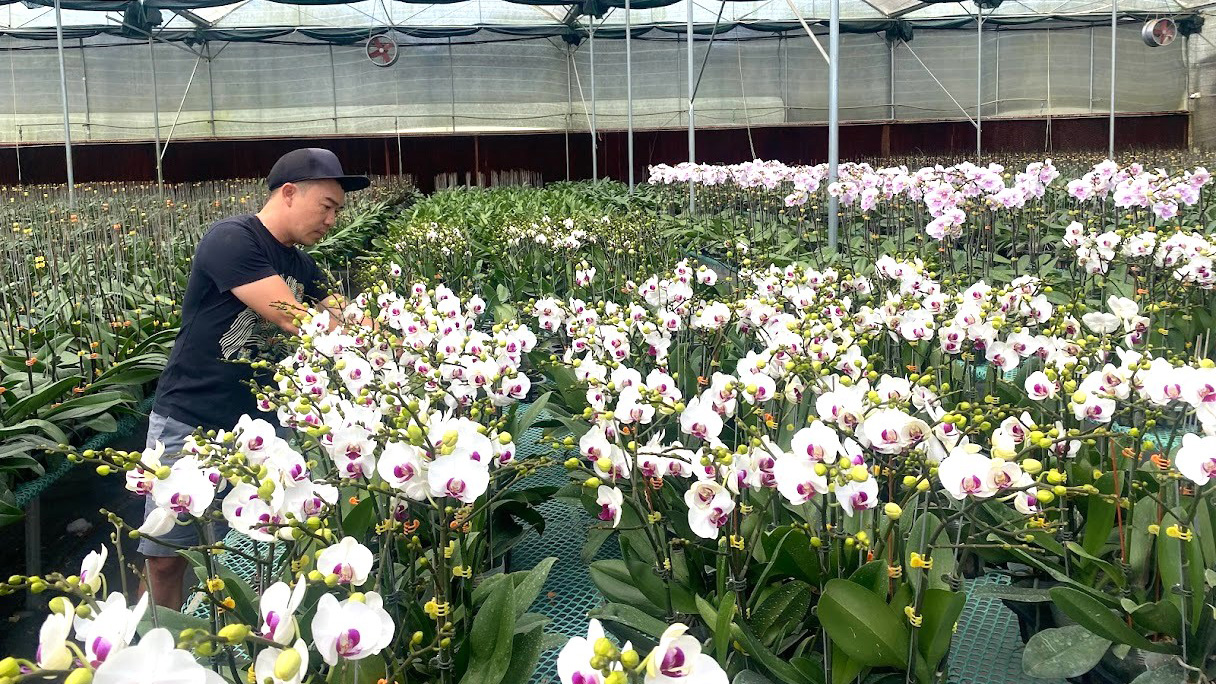 Chủ động nguồn nước tưới cây trồng