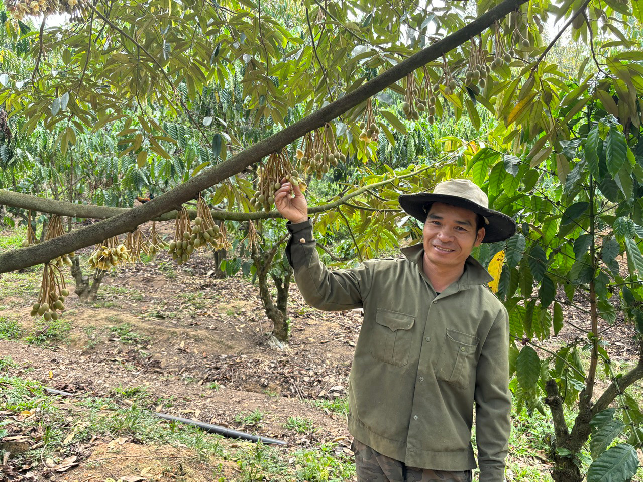 Tỷ phú sầu riêng ở vùng sâu