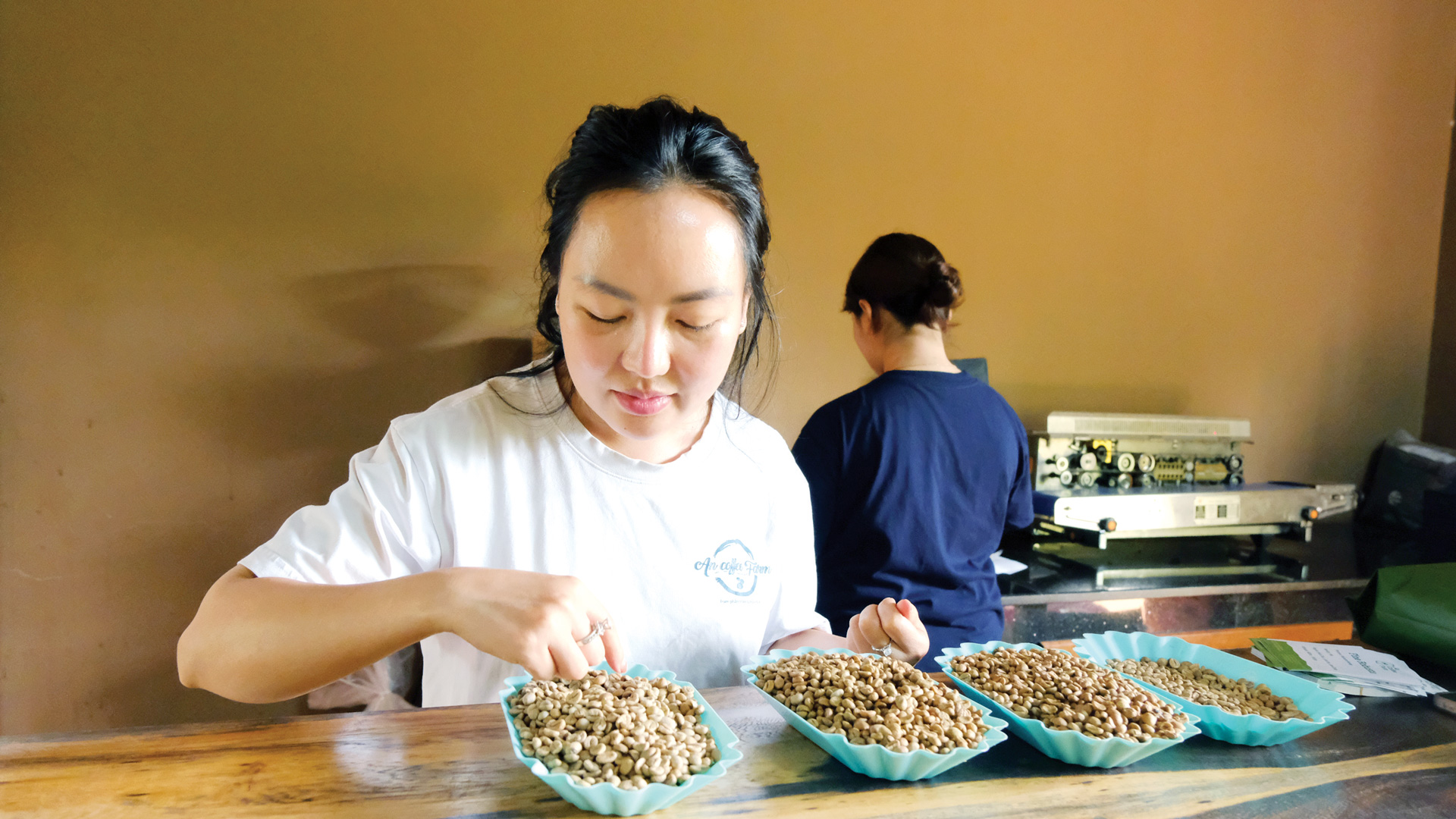 Hành trình xây dựng cà phê Robusta chất lượng cao