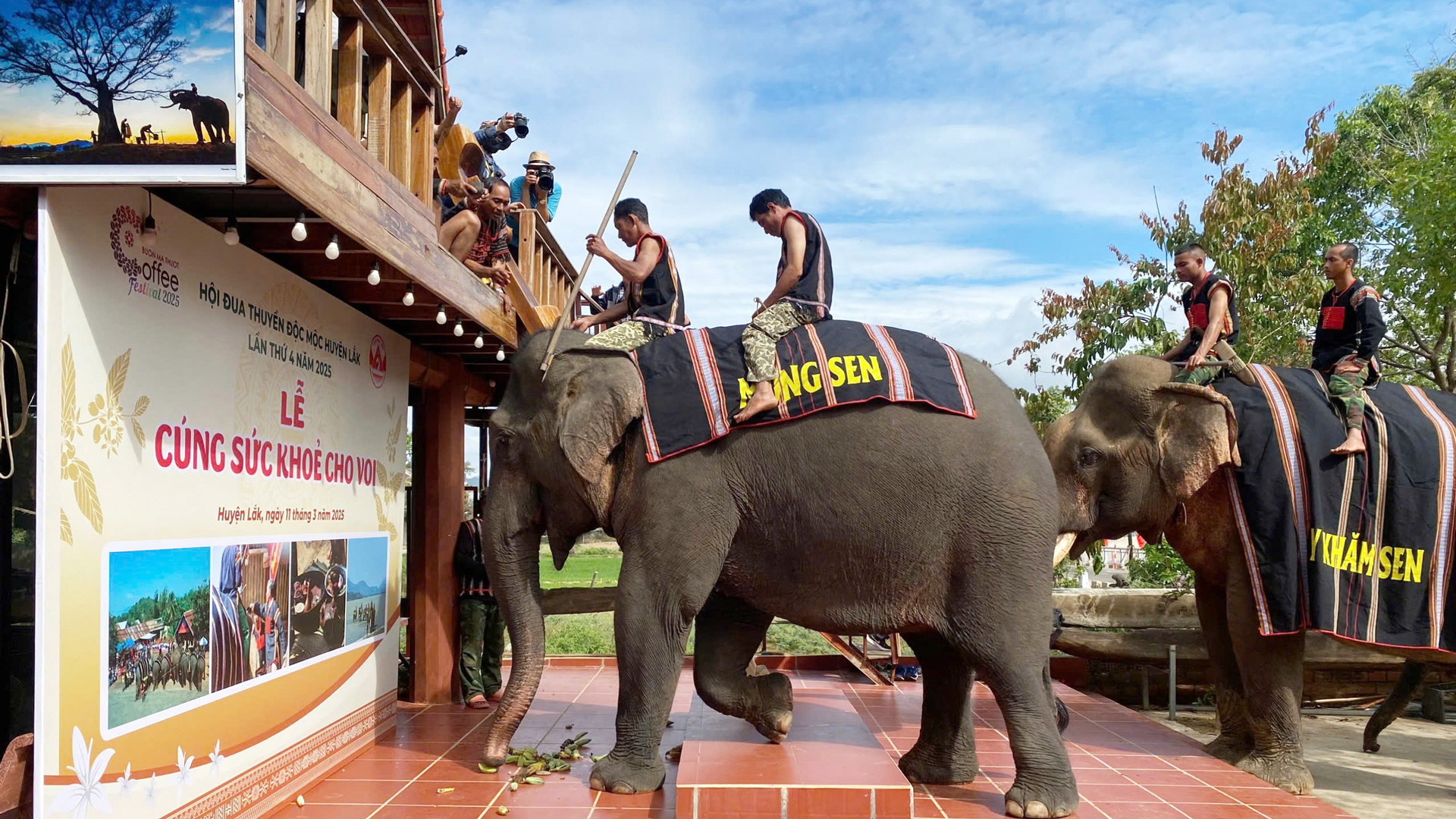 Giữ chân voi giữa đại ngàn