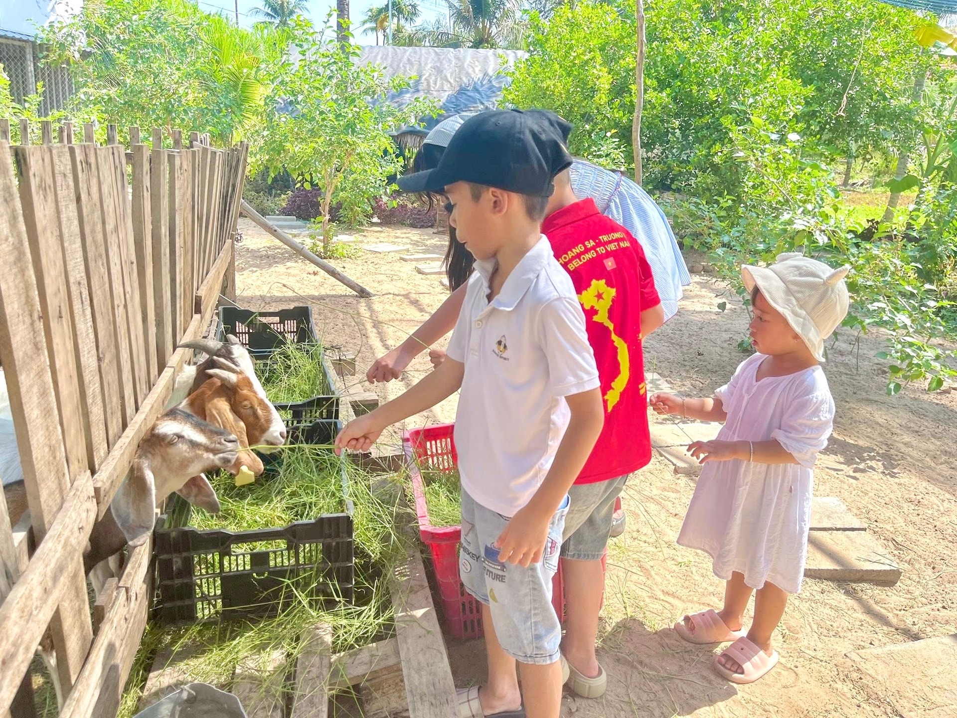 Phát triển nông nghiệp xanh gắn với du lịch cộng đồng