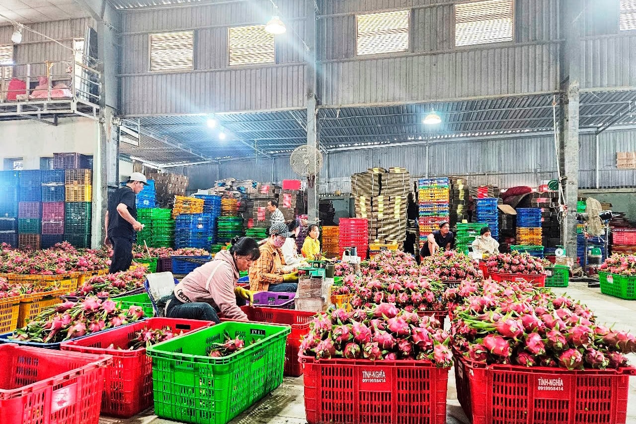 “Số hóa” sản phẩm OCOP