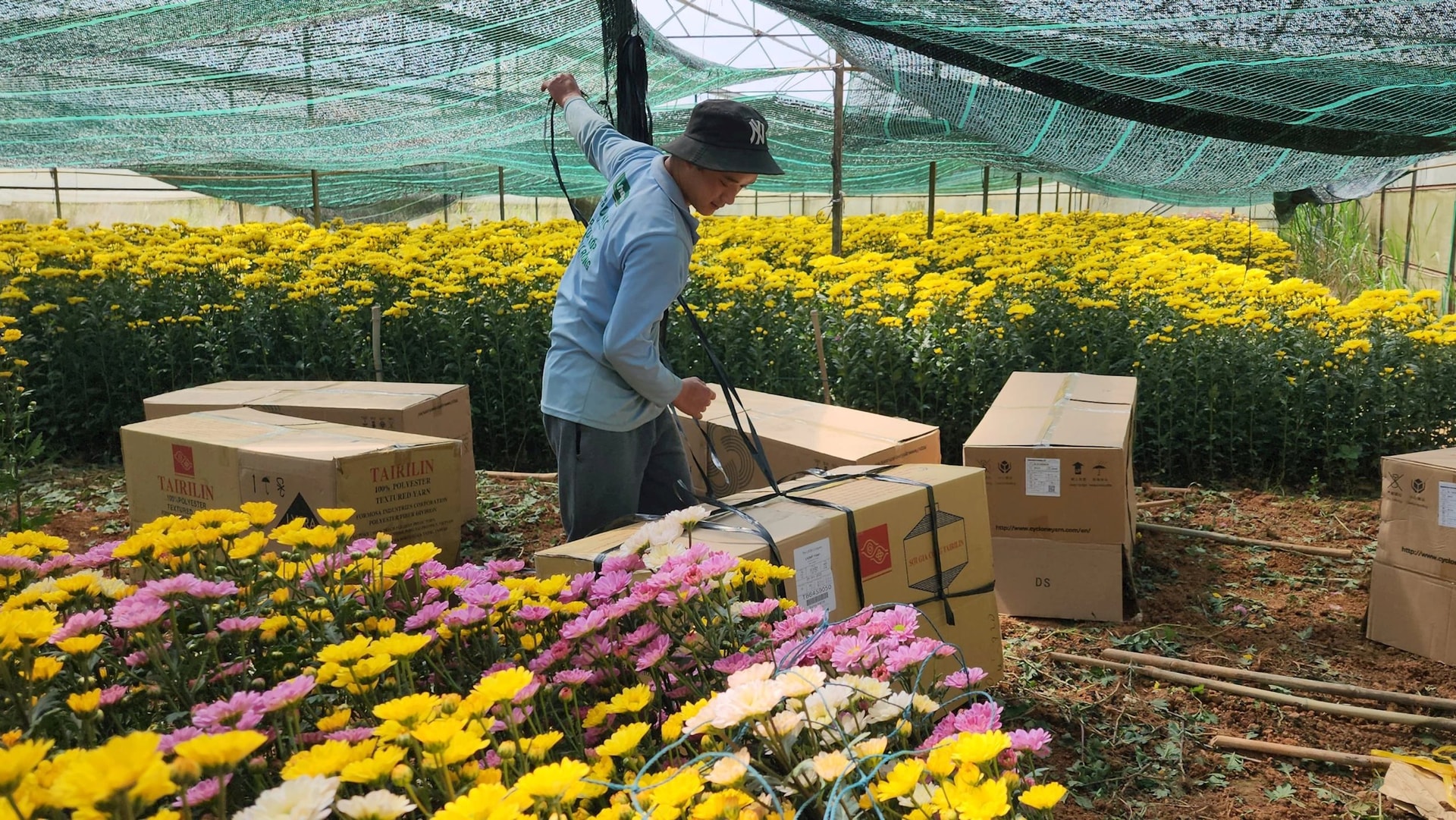 Lâm Viên - Đà Lạt, nơi hội tụ các làng hoa nổi tiếng