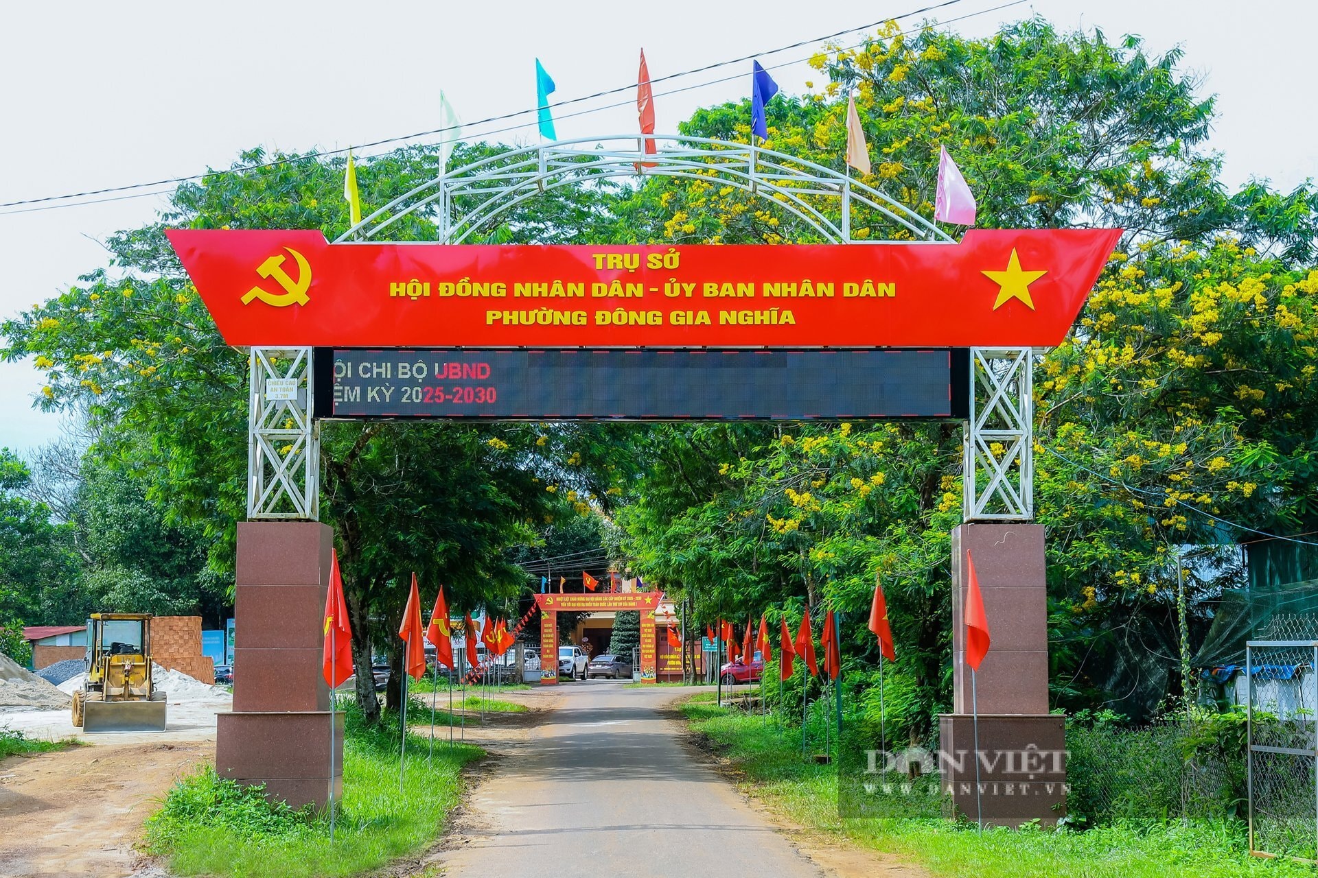 Bỏ phố về quê, thanh niên phường Đông Gia Nghĩa là tỷ phú Lâm Đồng, làm farm đẹp như phim