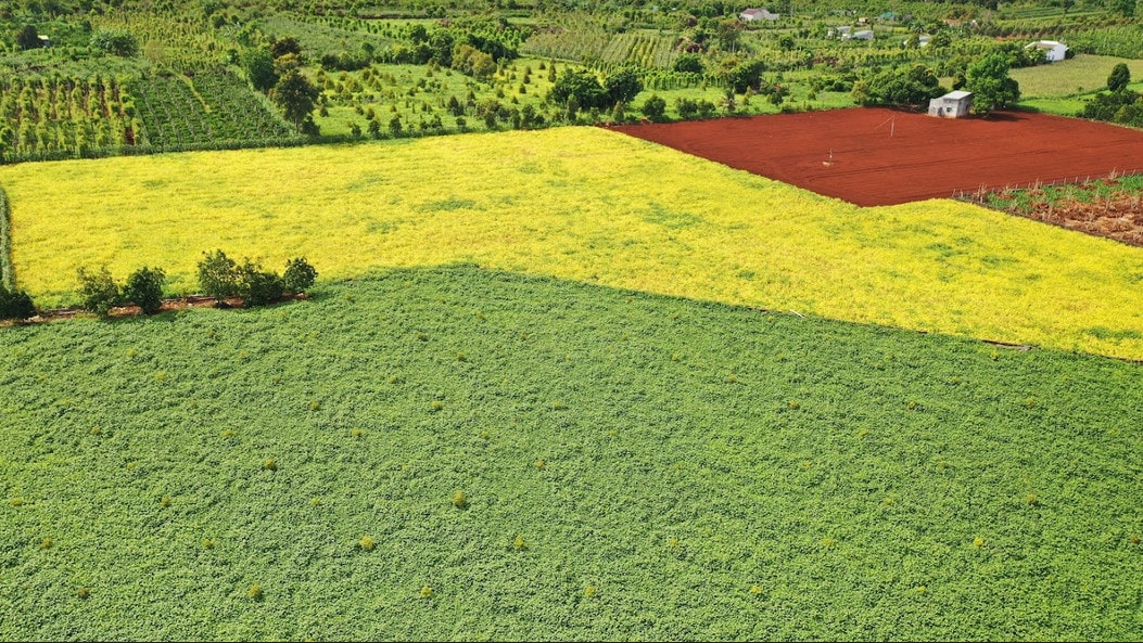 Mã vùng trồng nội địa - chuẩn hóa nông sản từ bên trong