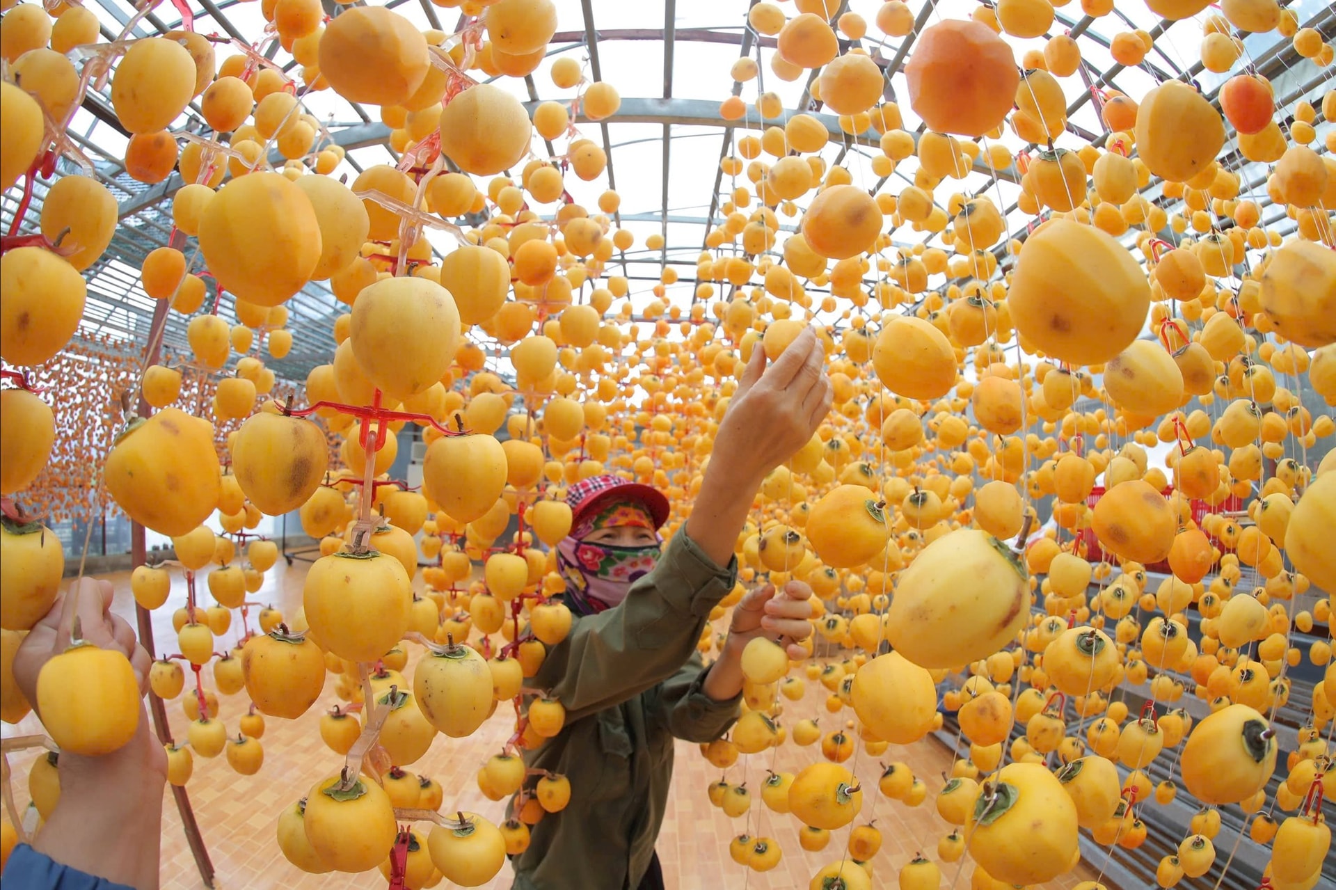 Tạo thuận lợi để doanh nghiệp phát triển