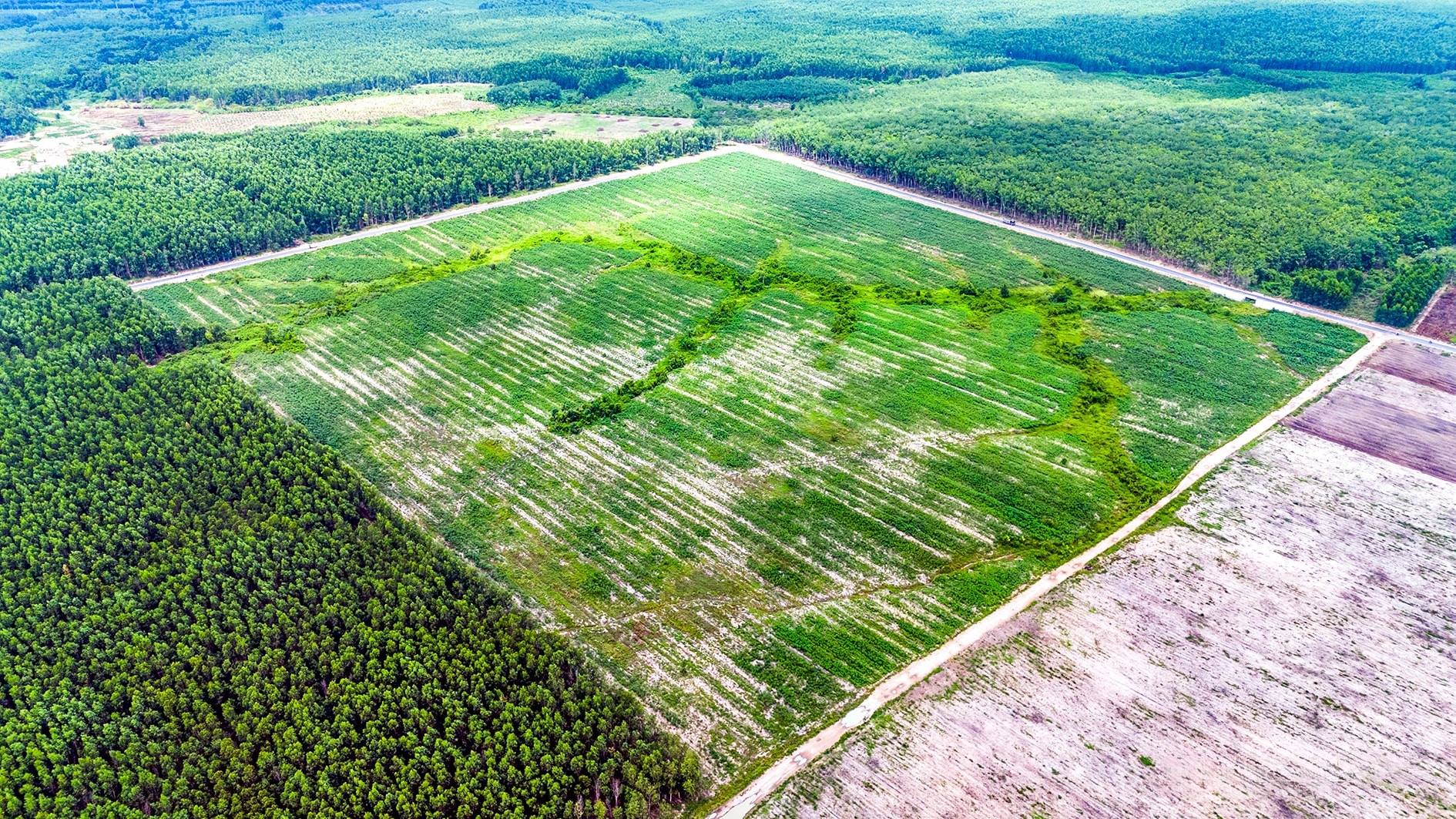 “Buổi ban đầu” chuỗi các khu, cụm công nghiệp phía Nam tỉnh