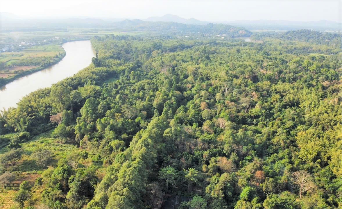 Vườn Quốc gia Cát Tiên được vinh danh 4 giải thưởng quốc tế về du lịch sinh thái