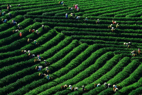 OCOP và du lịch nông thôn - lợi ích kép