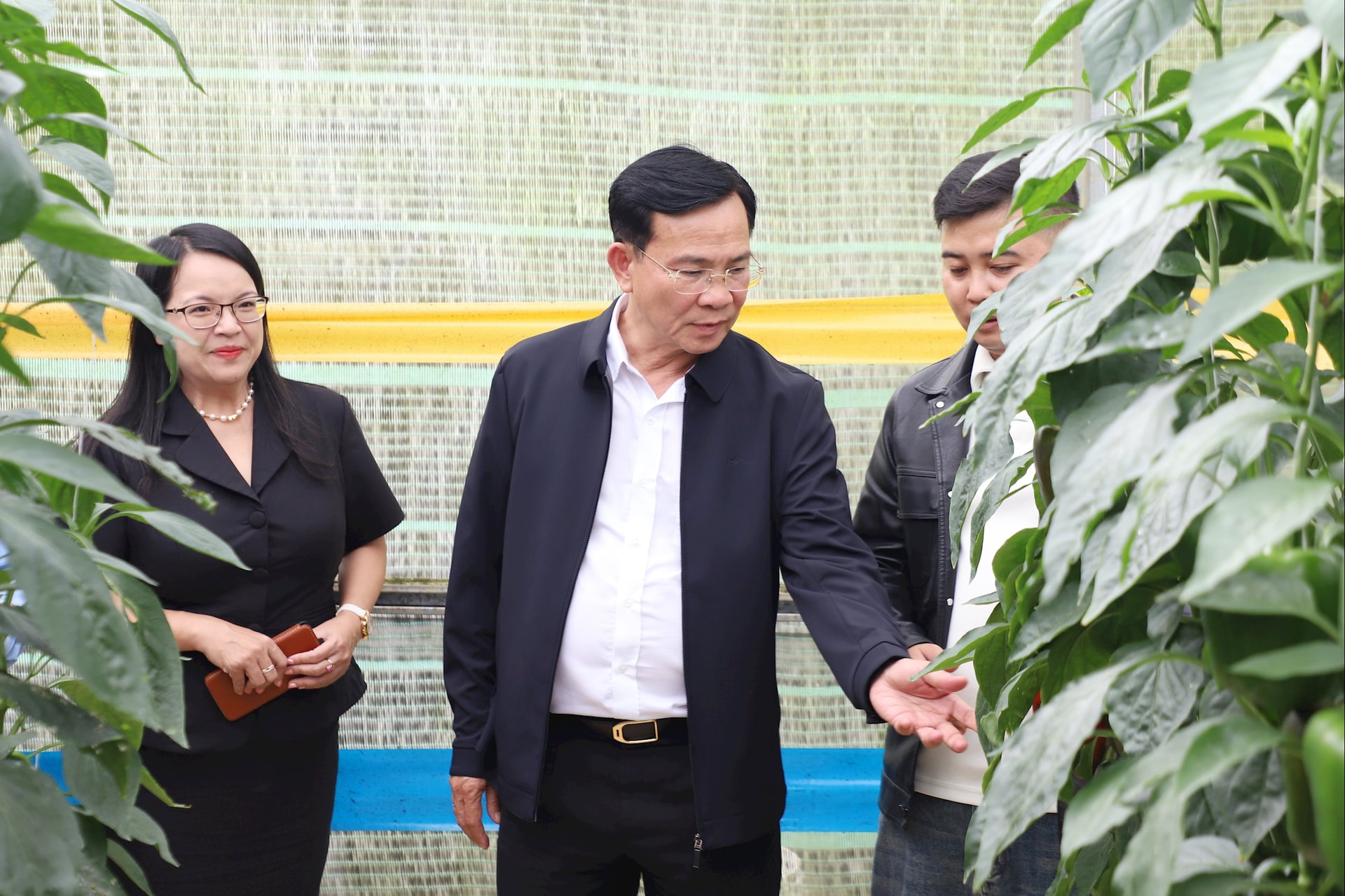 Nhân rộng mô hình nông nghiệp hiệu quả giúp nâng cao thu nhập cho nông dân