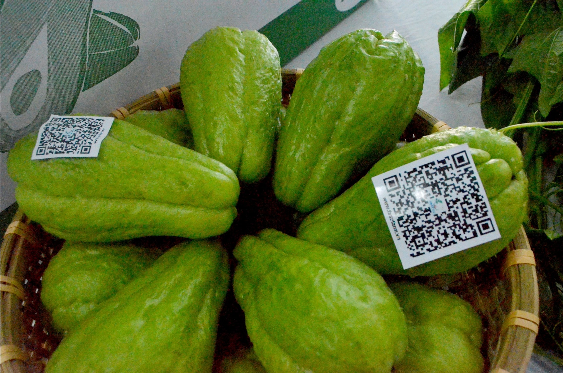 Thúc đẩy tiêu thụ nông sản gắn với chuyển đổi số