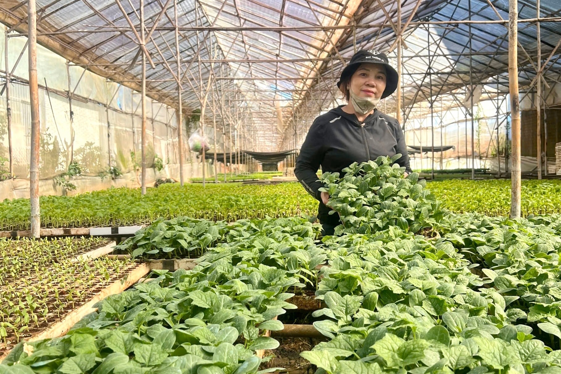 Đức Trọng khơi dậy tiềm năng để phát triển