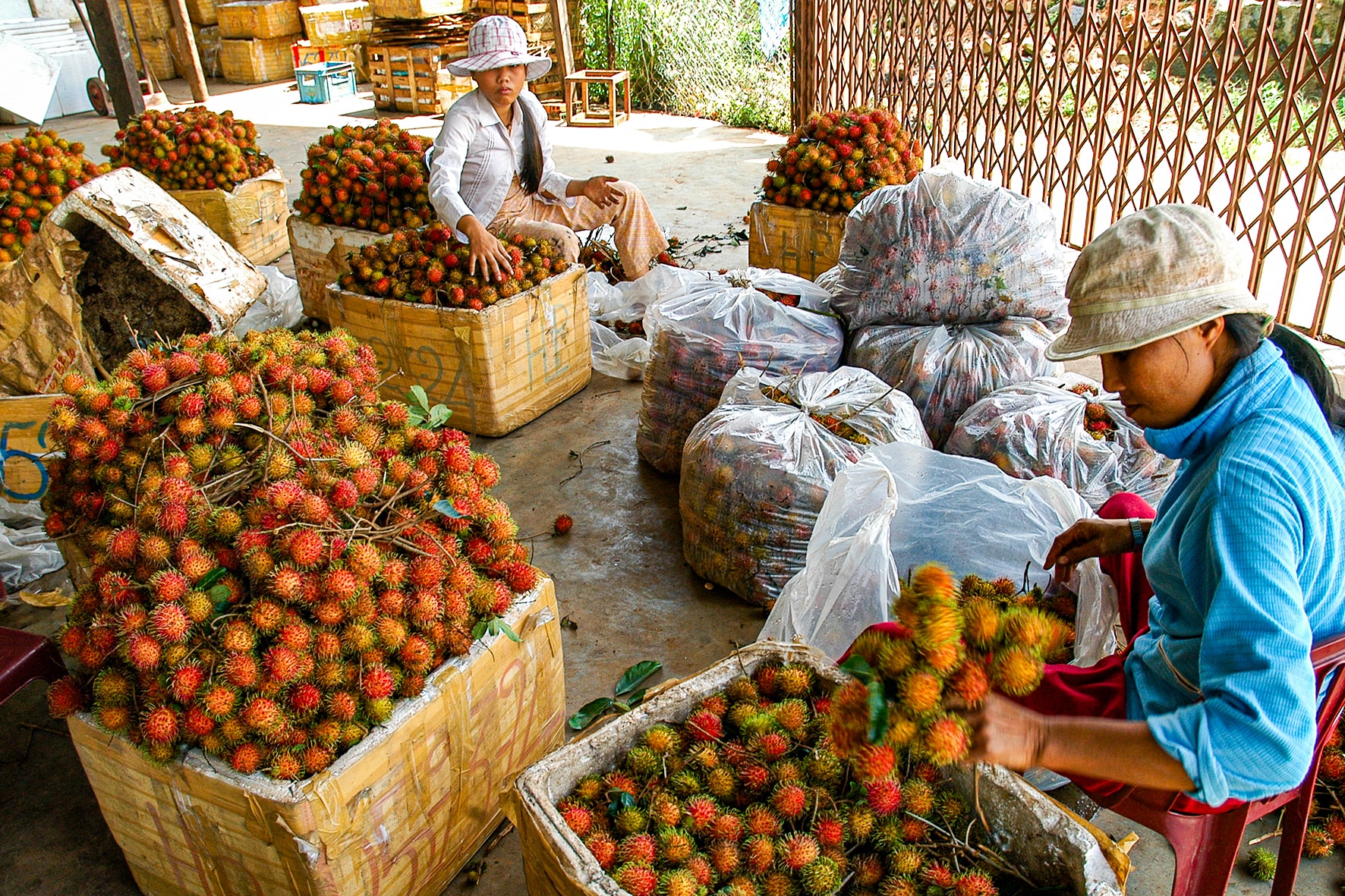 “Trái ngọt” ở Nam Thành