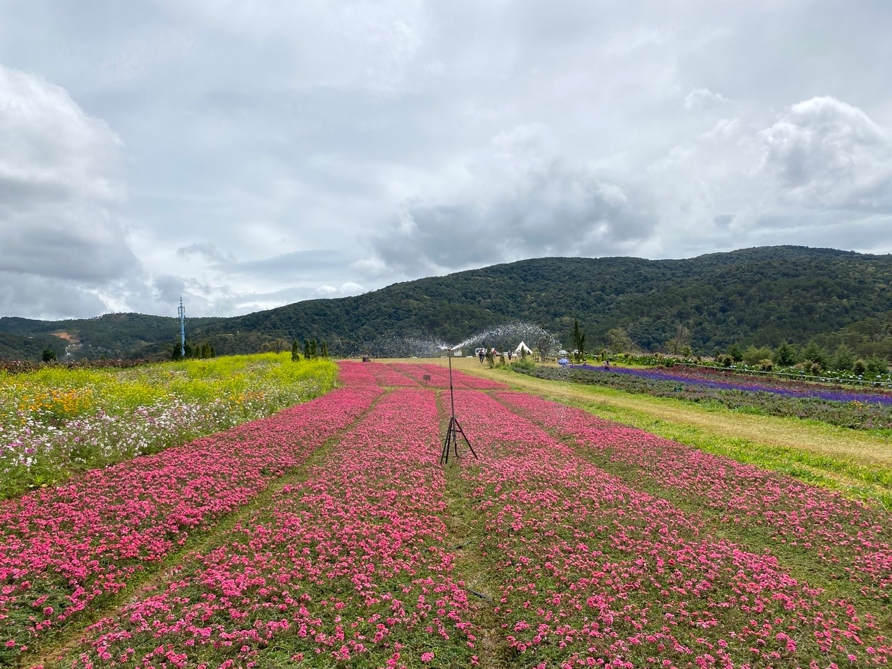 45 ngày phê duyệt đề án du lịch sinh thái