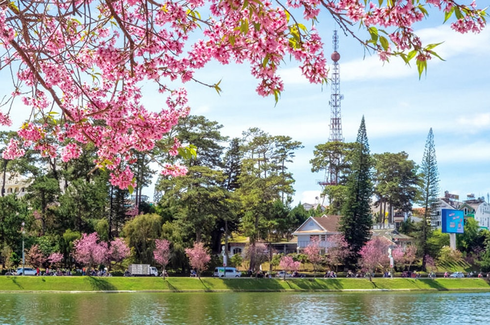 Lâm Đồng thi thiết kế cổng chào bằng hoa tươi tại chân đèo Prenn (đợt 2)