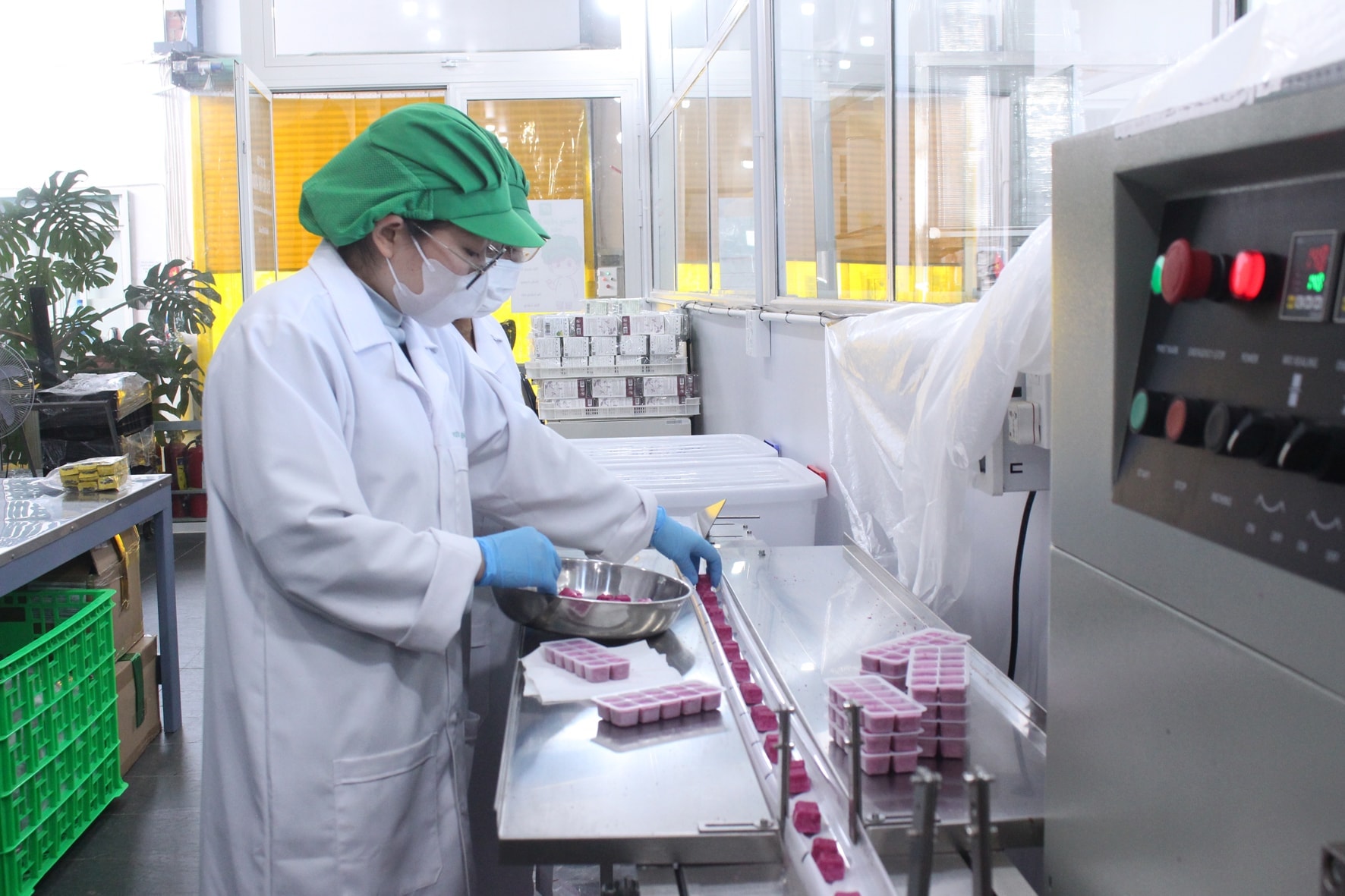 Chuyển đổi số trong khu vực kinh tế tập thể