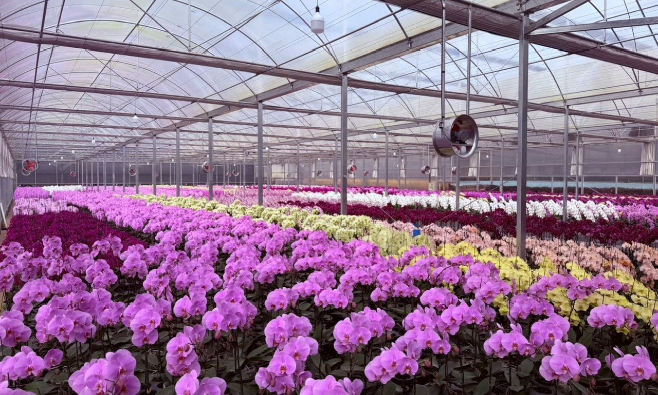 Phát triển nguồn giống cây trồng, vật nuôi mới