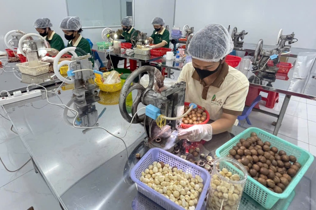 Tập trung chế biến sâu, nâng tầm sản phẩm OCOP