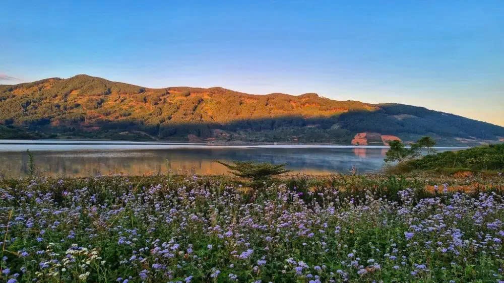 Nền tảng để phát triển hài hòa cao nguyên Di Linh