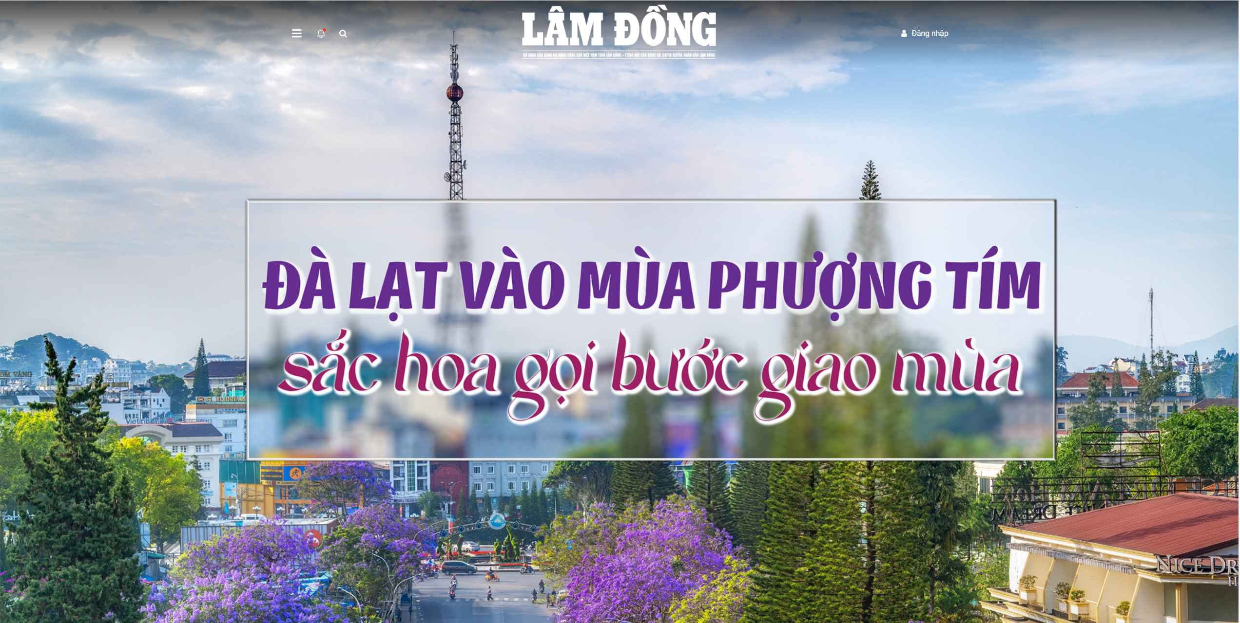 Đà lạt vào mùa Phượng Tím sắc hoa gọi bước giao mùa