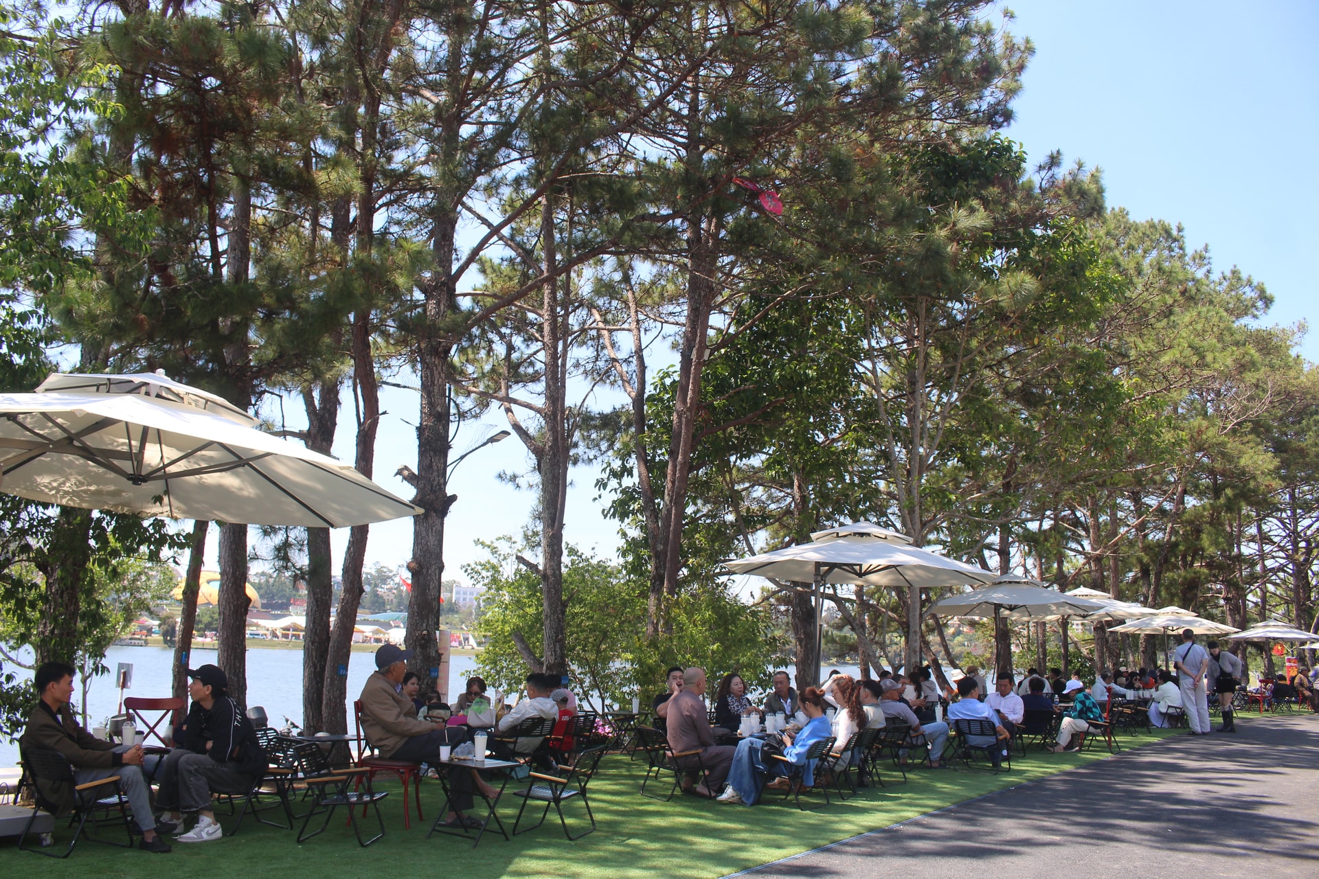 Sức hấp dẫn của du lịch cà phê