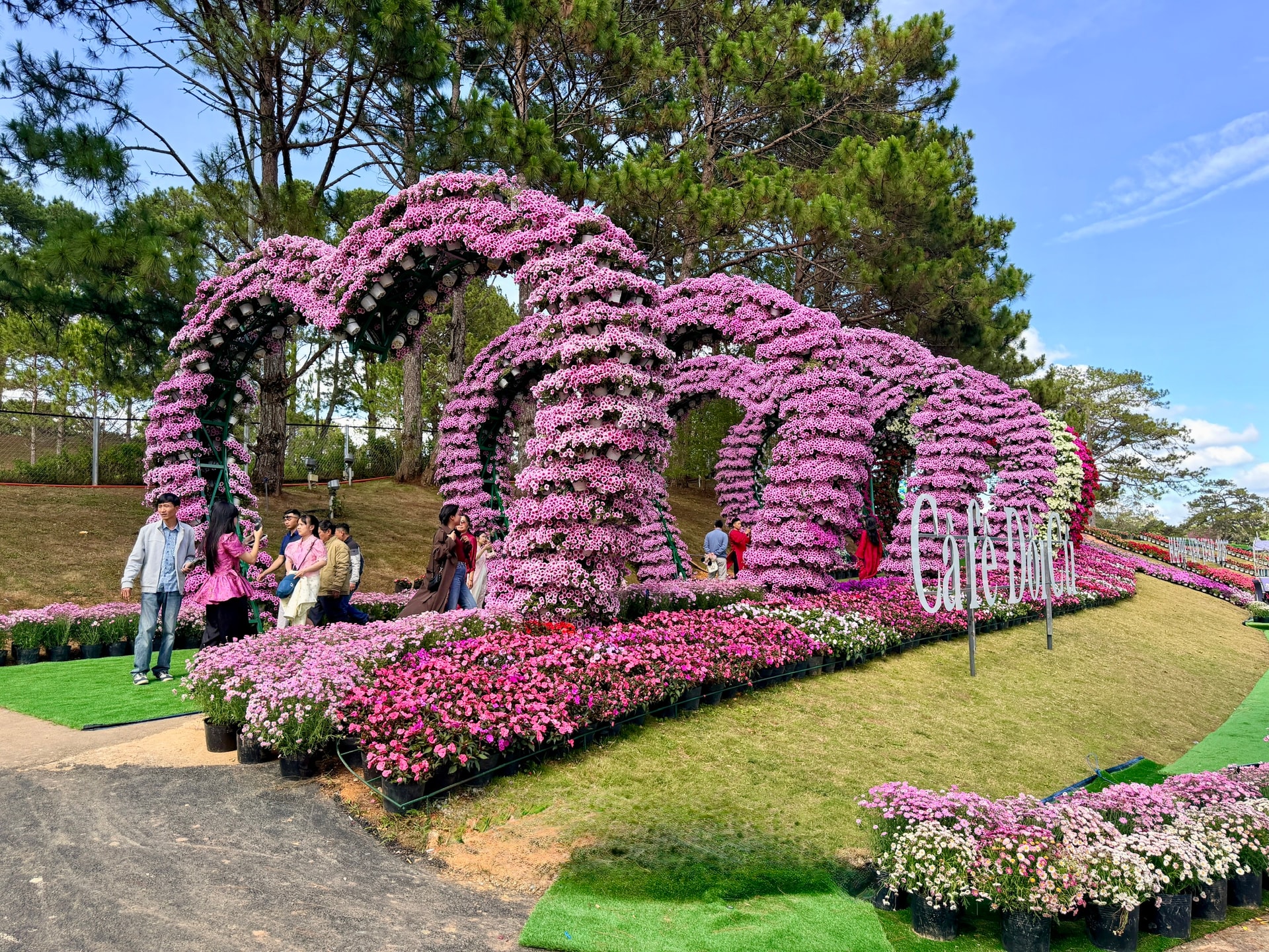 Khu vực dịch vụ bứt tốc, động lực tăng trưởng cho kinh tế Lâm Đồng