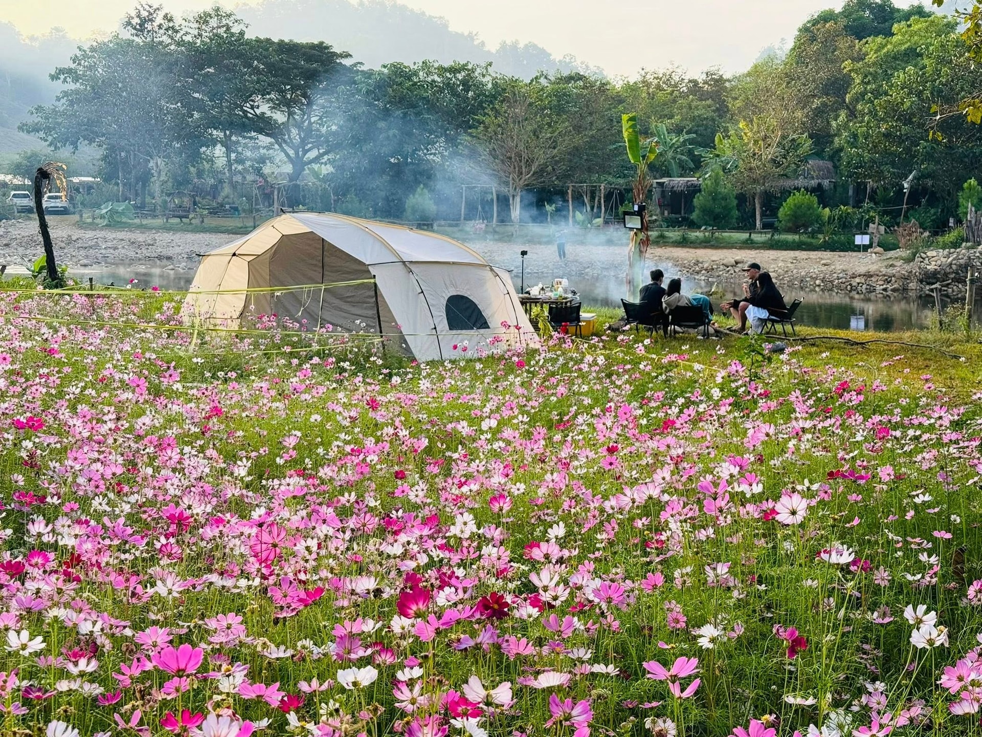 Phát triển du lịch nông nghiệp cần có chiều sâu
