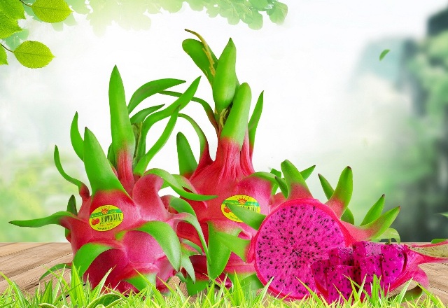 Ngày mai, Không gian trưng bày sản phẩm du lịch và sản phẩm OCOP Lâm Đồng mở cửa đón khách